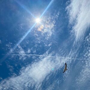 Meet your Posher, Kamile